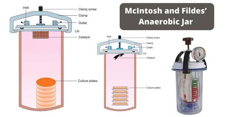 mcintosh and fildes anaerobic jar|An Improved Form of McIntosh and Fildes' Anaërobic Jar .